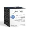 8050148500599 Peach Tea Crema Viso Idratante con Acido ialuronic TEAOLOGY