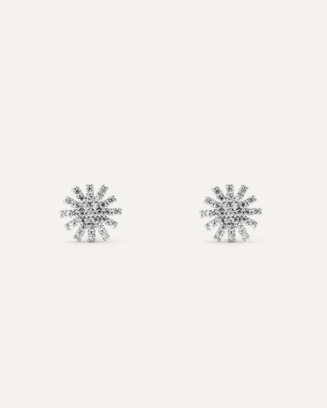 8059916580290_2.png